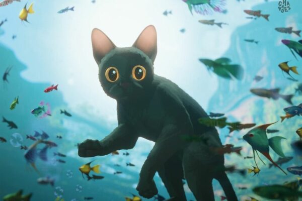 gato flow El Comercio 1024x683 1