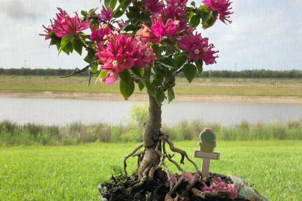 85dfb060 82b9 4e8b aae5 363cce3bae51