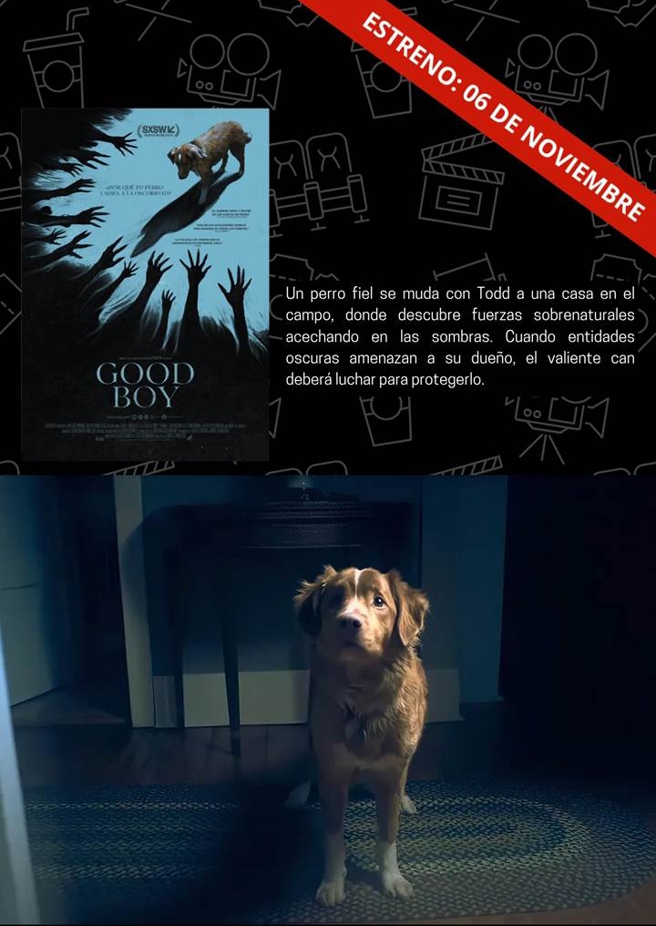 “Good Boy”: una película aterradora desde la perspectiva de un perro 2 Screenshot 20251107 101620