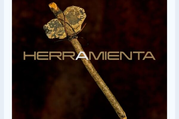 Screenshot 20260201 122653