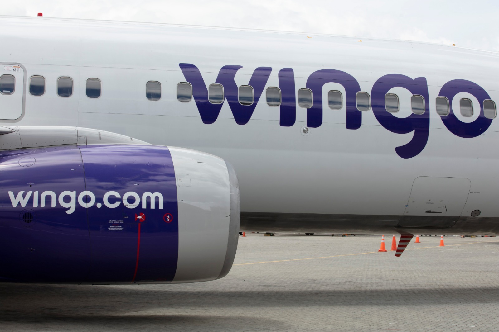 Imagen Wingo