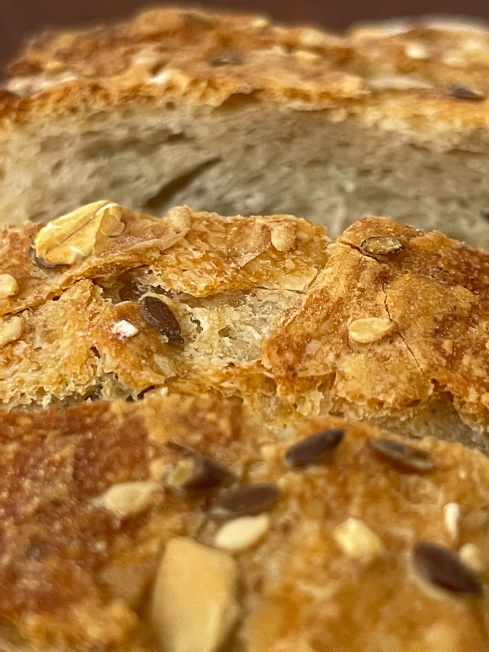 Panadería Rosita revoluciona el mercado venezolano con la primera certificación de pan 100% de masa madre avalada por la UCV 2 WhatsApp Image 2026 09 11 at 11.46.38 AM 1